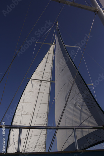 Sail white yachts in the sea against the blue sky © liusan 