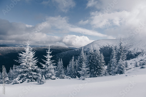 Beautiful winter nature landscape, amazing mountain view. Scenic image of woodland. Frosty day on ski resort. Superb winter wallpapers. Explore the beauty of earth