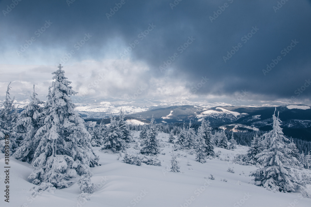 Beautiful winter nature landscape, amazing mountain view. Scenic image of woodland. Frosty day on ski resort. Location Carpathian, Ukraine. Superb winter wallpapers. Explore the beauty of earth