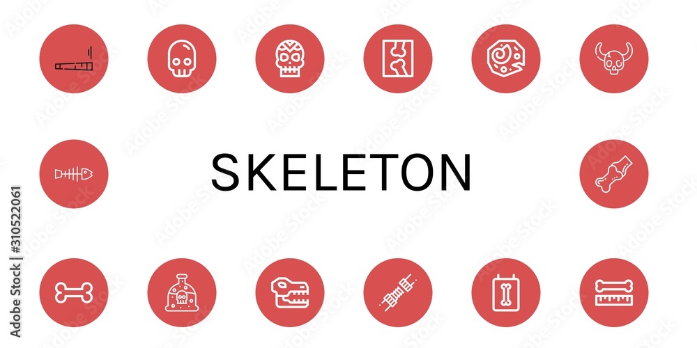 Set of skeleton icons Set of skeleton icons