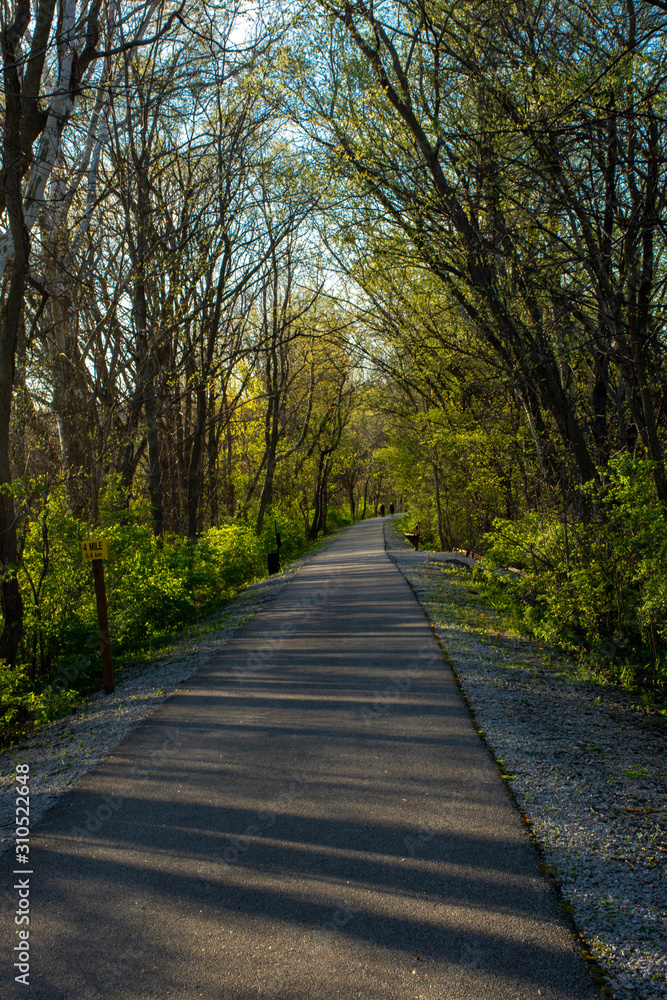 Sugar creek trail walking path late in the day