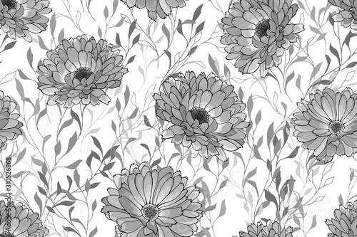 Fototapeta Naklejka Na Ścianę i Meble -  Vector seamless pattern with monochrome flowers calendula and leaves on white background. Black and white. Floral background for fashion, textile, wallpapers, greetings, web pages.