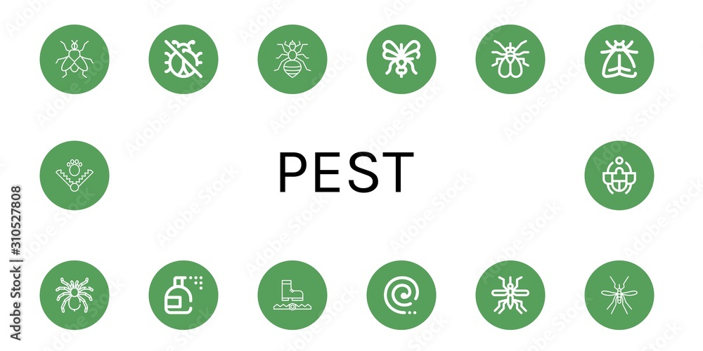 pest icon set pest icon set