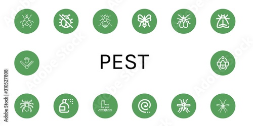 pest icon set