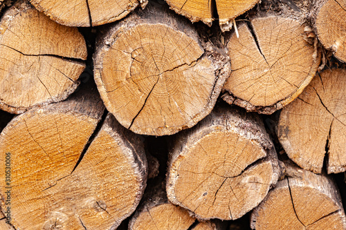 Dry oak firewood stacked in a pile, not chopped whole wood for winter heating fireplace. Natural wood background.