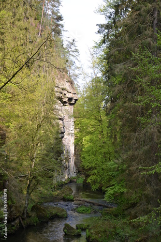 Walk along the mountain forest river