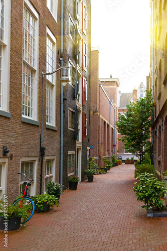 View of narrow street in Amsterdam. Historical, traditional and typical buildings and many plants are in the view. It is a sunny autumn day.