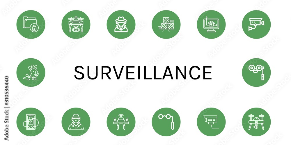 Set of surveillance icons Set of surveillance icons