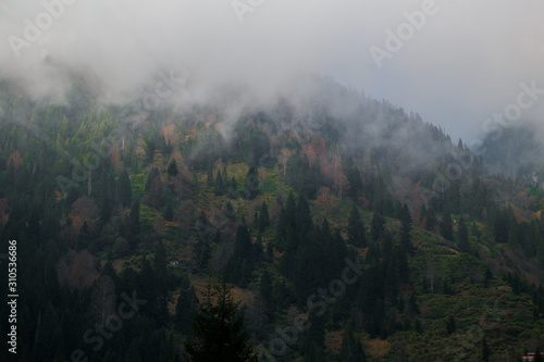 Foggy Mountains In Ayder Turkey Black Sea