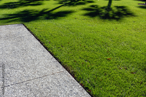 A thick carpet of zoysia grass and an oyster shell tabby pathway suggest the abstract concept of a journey, or of a beautifully maintained garden. photo