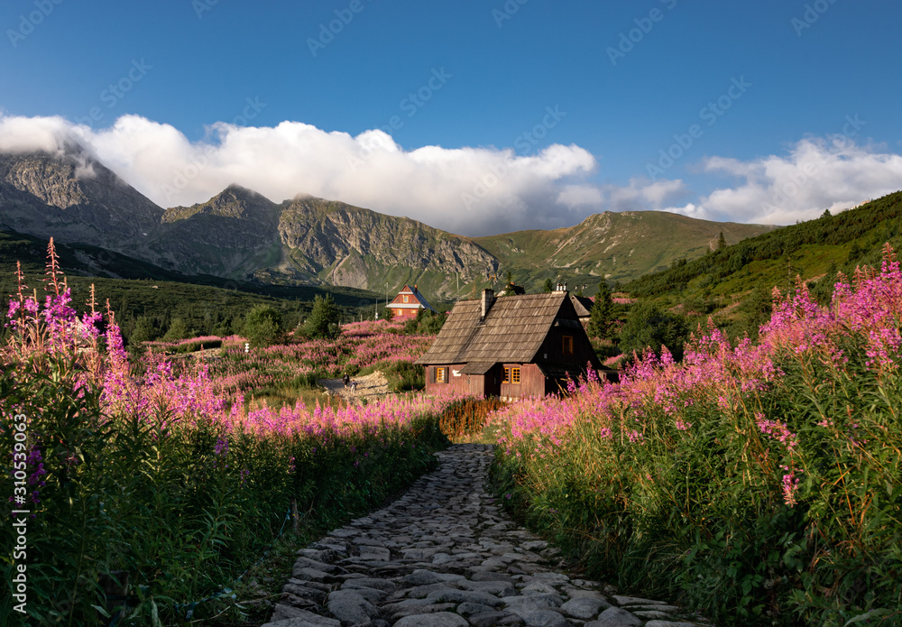 Tatra valley in summer