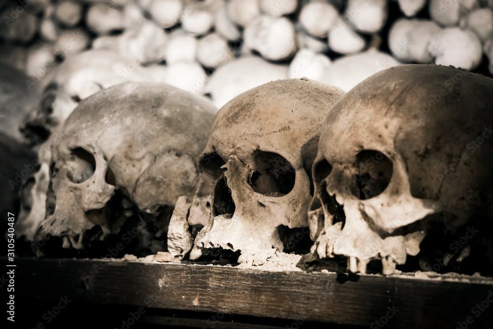 Human skulls and bones. Gloomy photo. Death Human skulls and bones. Gloomy photo. Death