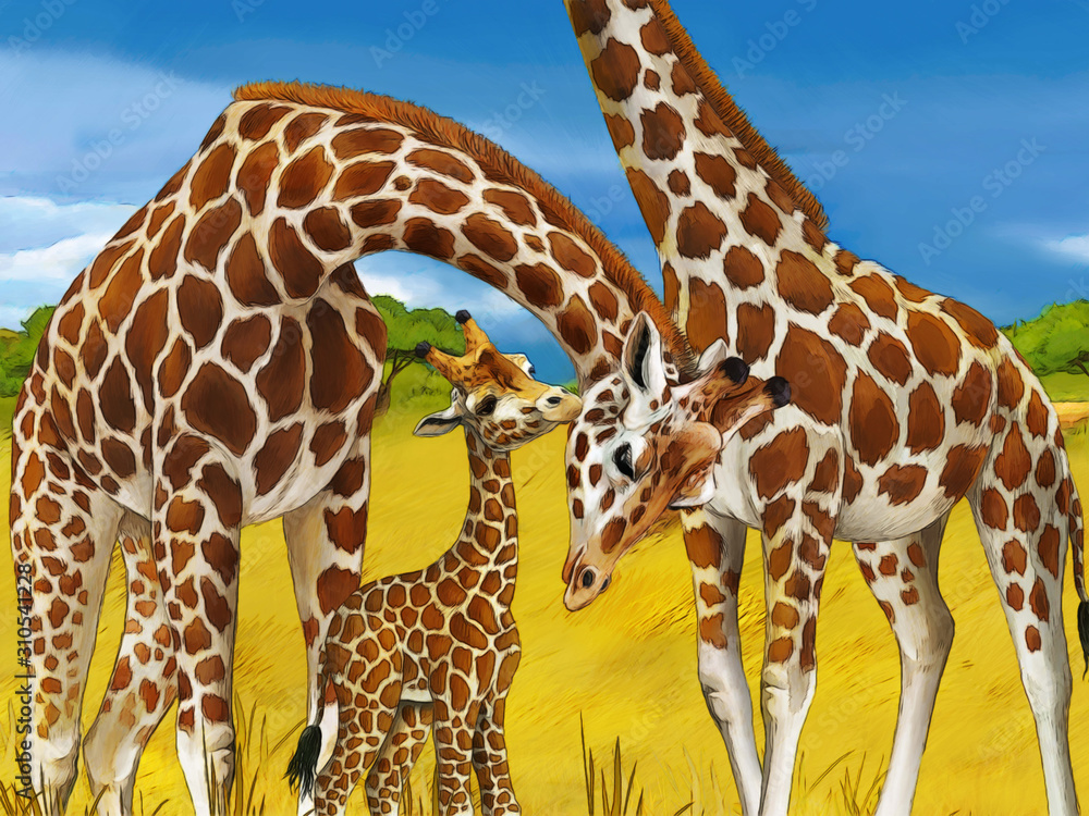 Obraz premium cartoon safari scene with giraffes family eating on the meadow - illustration for children