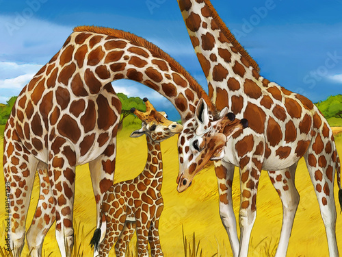 cartoon safari scene with giraffes family eating on the meadow - illustration for children