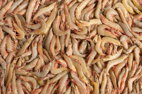 Close up of fresh whole raw shrimp or prawns on display in fish market