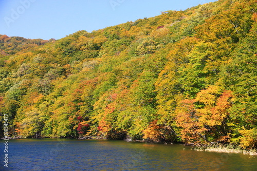 八甲田の秋 蔦七沼の景色