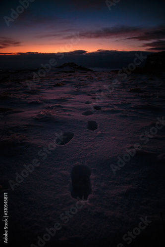 Footsteps in sbow photo