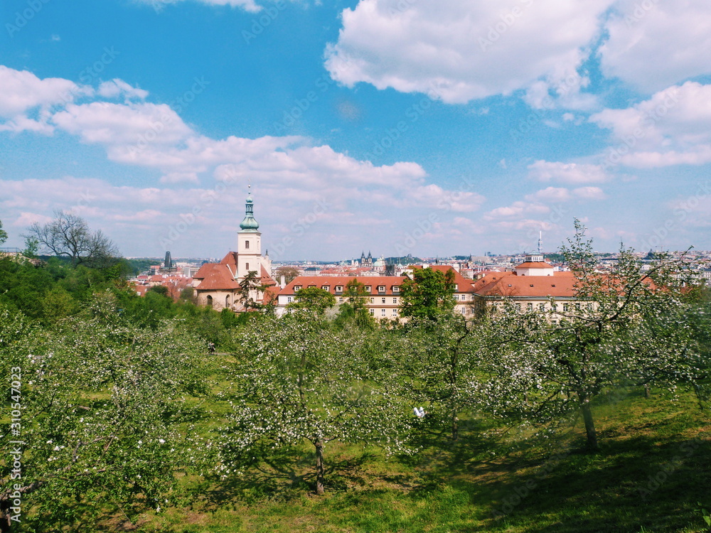 Summer Meadow in the middle of the city - Prague, Czech 