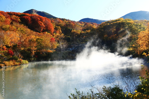 八甲田山の秋　酸ヶ湯温泉　紅葉に包まれる地獄沼