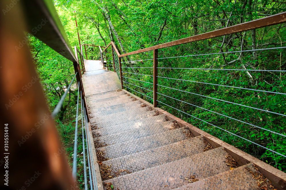 A long staircase in a green forest to overcome the route over the abyss