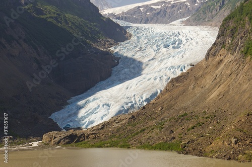 One leg of Bear Glacier above Strohn Lake photo