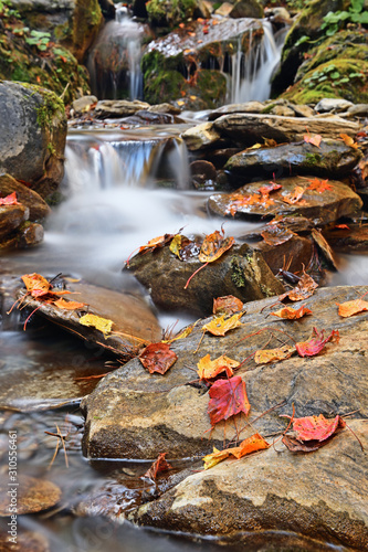 Red autumn leaf lying on wet mossy stone in rocky riverbed of mountain stream.