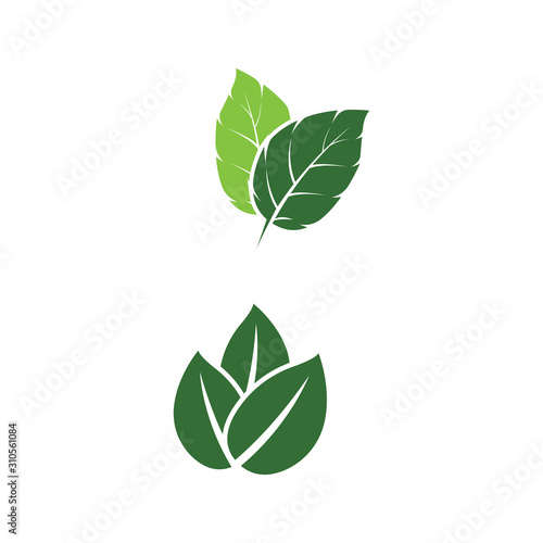 Leaf Mint Logo Template vector symbol