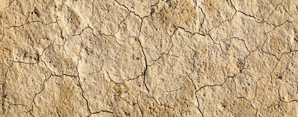 Cracked dry soil. Desert, arid climate. Natural backgrounds Cracked dry soil. Desert, arid climate. Natural backgrounds