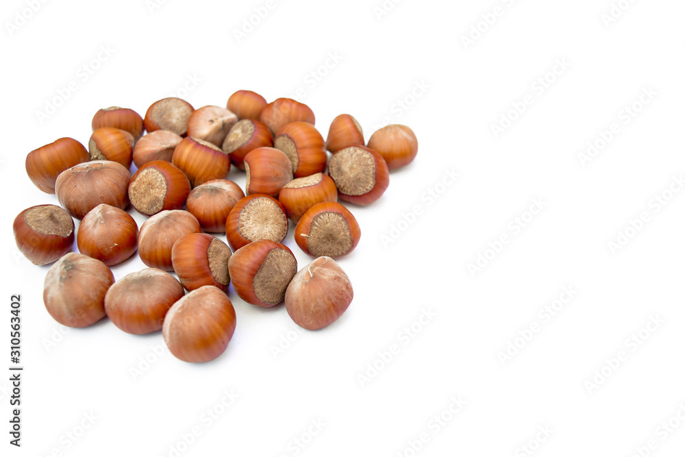 Hazelnuts on a white background Hazelnuts on a white background