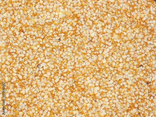Yellow corn kernels on a white background