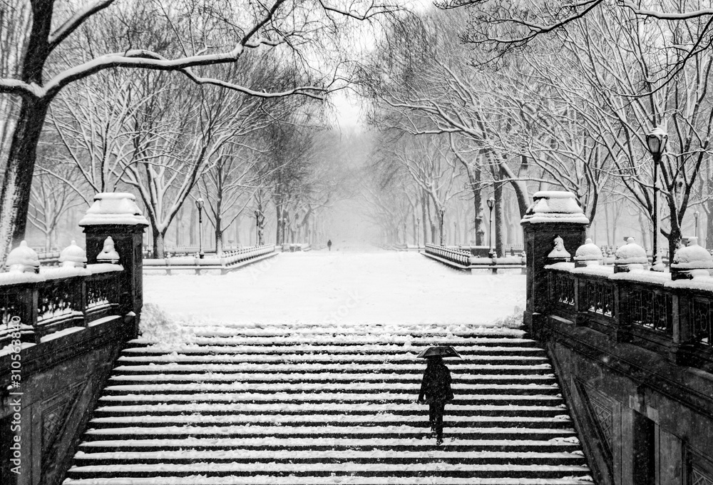 Fairy winter park in a fabulous city..Central Park - New York City during a snowstorm
