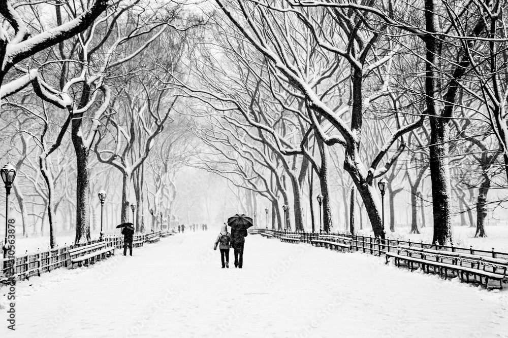 Fairy winter park in a fabulous city..Central Park - New York City during a snowstorm