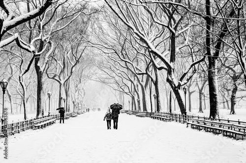 Obraz na płótnie Fairy winter park in a fabulous city..Central Park - New York City during a snowstorm w salonie