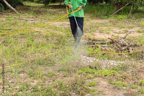 Spraying herbicide