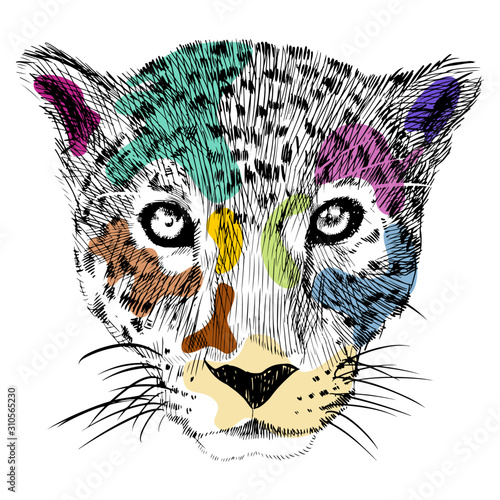 sketch colorful cheetah heads in pop art style