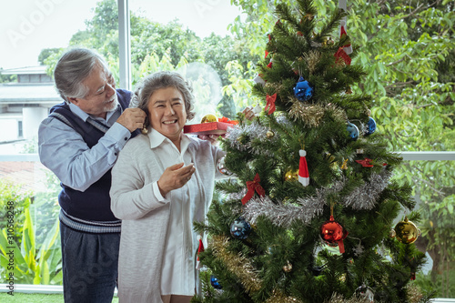 Couple of elderly man and woman happy with smile and help to prepare and gift or decorate Christmas tree in living room that decorated for christmas festival holiday concept © FrameAngel