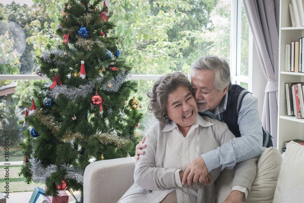 Fototapeta premium Couple of love elderly man and woman happy with smile and hugging together in living room that decorated with Christmas tree for Christmas festival holiday concept