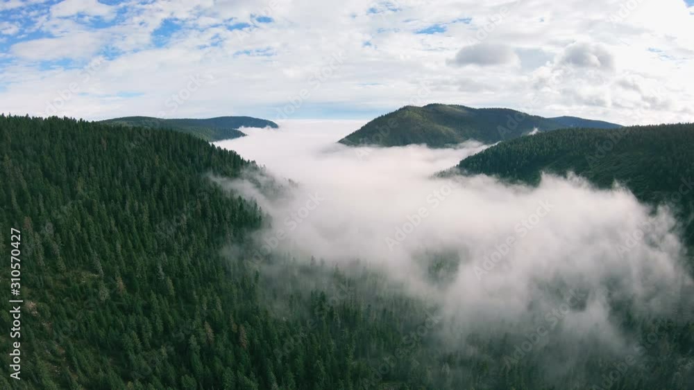 Aerial view of amazing green valley. Drone flying above the forest and fog. Mountain scenery Aerial view of amazing green valley. Drone flying above the forest and fog. Mountain scenery