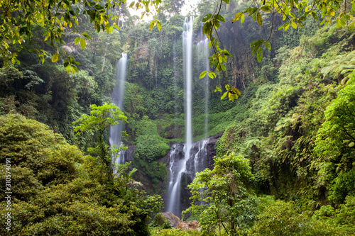 Fototapeta Naklejka Na Ścianę i Meble -  scenic view of sekumpul waterfall in bali indonesia