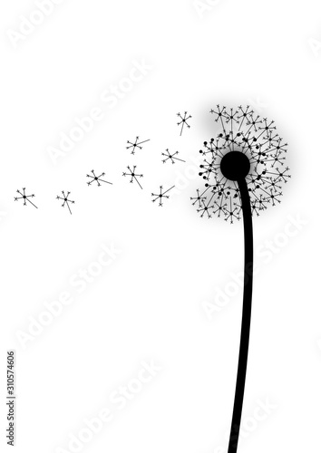 Pusteblume