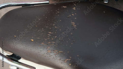 tear rip damage on brown leather Motorcycle seat cover from cat scratch. with selective focus  