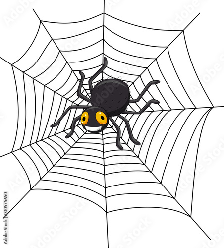 Cartoon spider on the cobweb