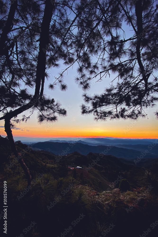 sunset and twilight light in the forest on the mountain sunset and twilight light in the forest on the mountain