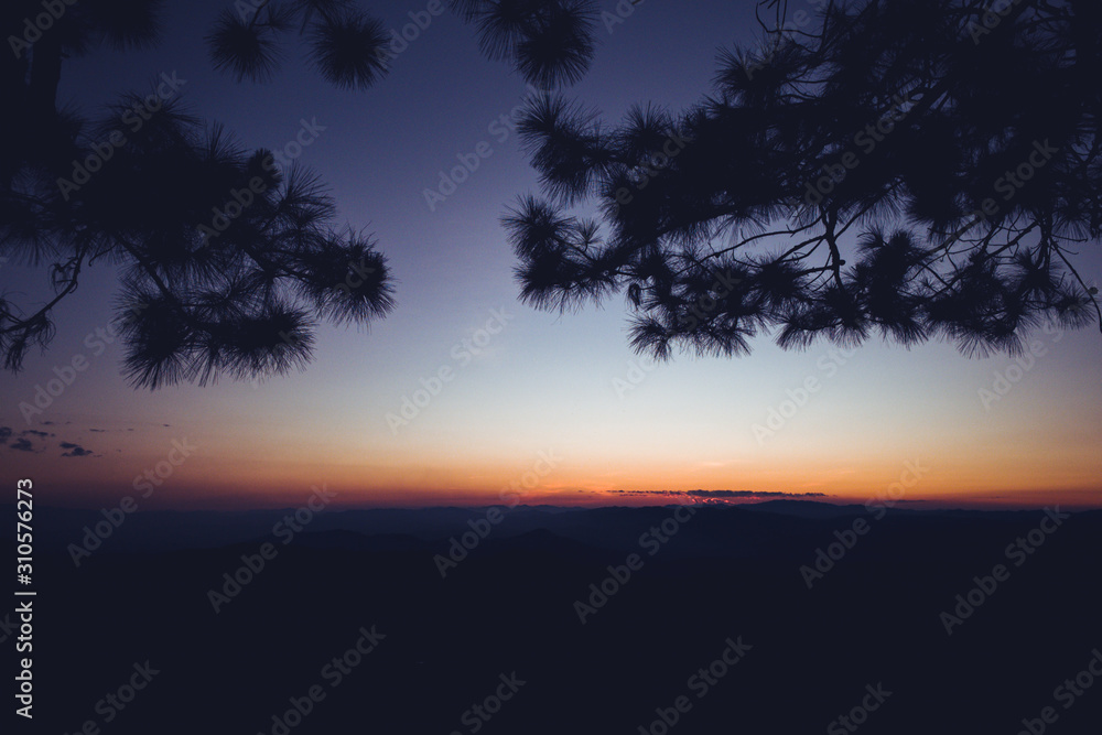 sunset and twilight light in the forest on the mountain sunset and twilight light in the forest on the mountain