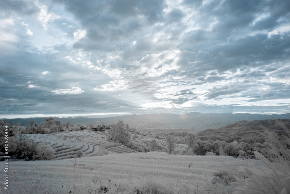 Beautiful rice terraces in Pa Bong Piang