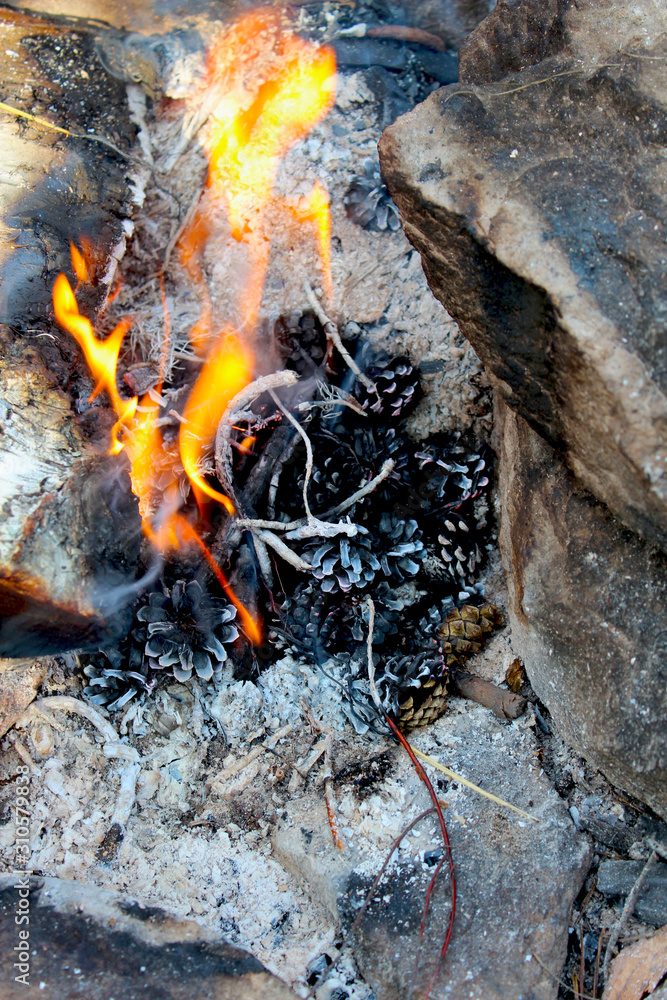 A beautiful bonfire among the stones. Fire from spruce and pine cones close-up. Burning cones on fire close up. Vertical photo. A beautiful bonfire among the stones. Fire from spruce and pine cones close-up. Burning cones on fire close up. Vertical photo.