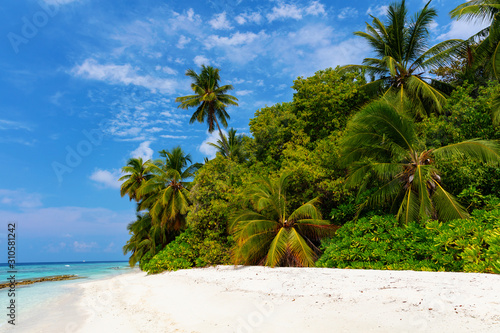 Pristine tropical beach with palm trees  blue water and white sand