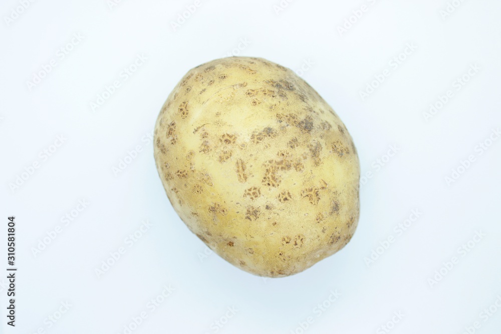 Potato tuber located on a white background Potato tuber located on a white background