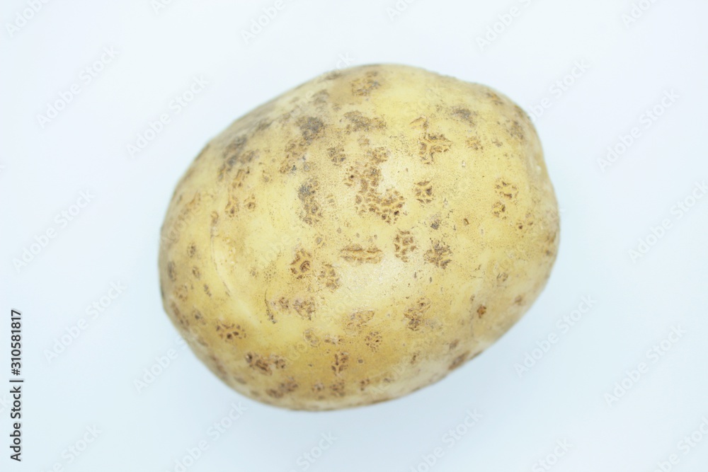 Potato tuber located on a white background Potato tuber located on a white background