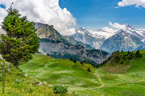 Switzerland, Panoramic view on green Alps from Schynige Platte © AlehAlisevich